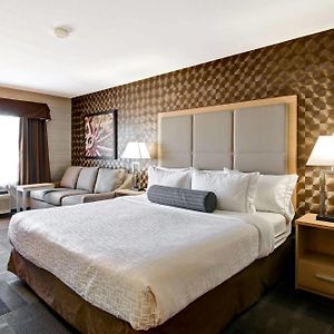 King Room Sofa Bed